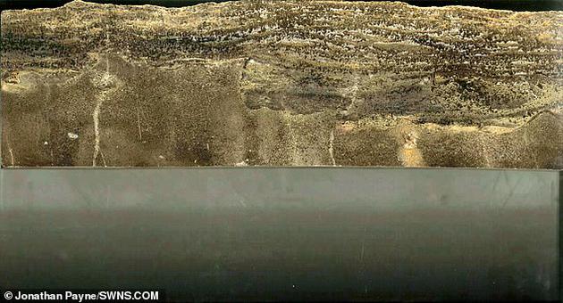 �ڶ��B�o(j��)ĩ�ڣ�������ȱ�����ߜ��{�ȡ������߀���ж����W(xu��)���|(zh��)��(d��o)���˺��������^���ƌW(xu��)�Ҍ�(du��)��߀�]�ж�Փ��