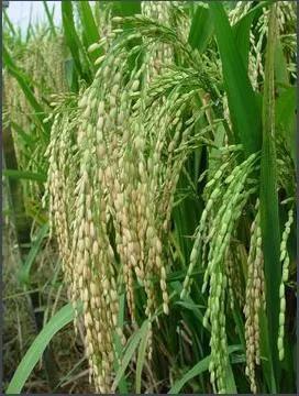 �i�����DƬ��(l��i)�ԾW(w��ng)�j(lu��)��