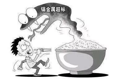 �DƬ��(l��i)�ԾW(w��ng)�j(lu��)