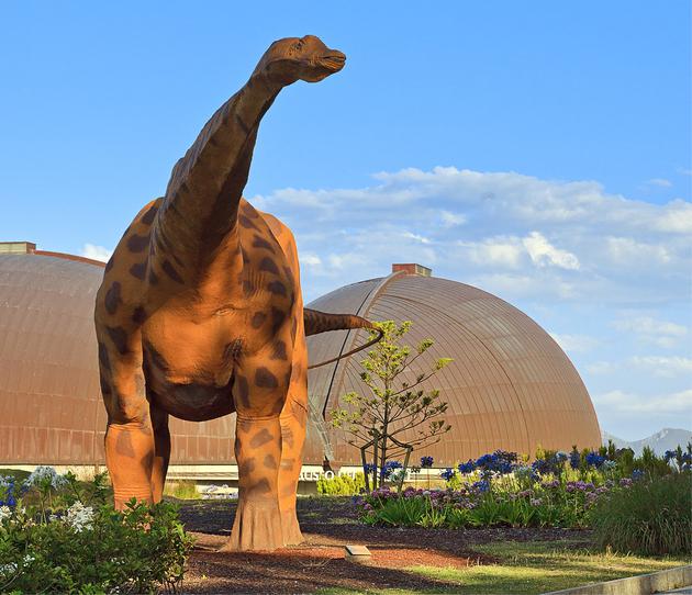 ��������˹�D�ﰢ˹٪�_�����^