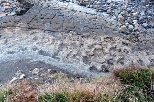 ��������˹�D�ﰢ˹���������Ŀ������E2