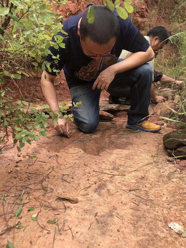 �����_(d��)�c�����ڵ��S����