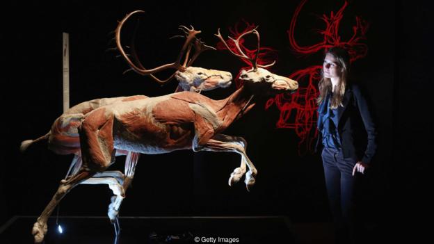 �������һ��(g��)��N�Ĵ��m(x��)�r(sh��)�g�ܱ����������(d��ng)����L(zh��ng)�᣿