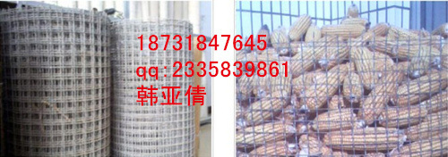 ܈���W(w��ng)�Z�}1