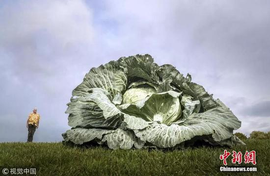 �Y�ψD�����;��Ĳ���