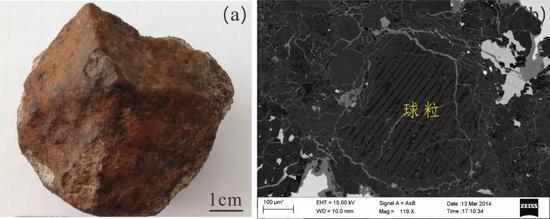 �D1.��ͨ�����Eʯ���֘�(bi��o)����Ƭ�ͱ�ɢ����ӈD�񣨁��ԇ��������_�����c���̽�y�о����Ĳ�˾Supra-55���l(f��)���������@΢�R��