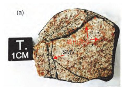 �D5.�����Eʯ�֘�(bi��o)����Ƭ���tɫ��ʾ�������c��SMV��ʾ��ɫ�_�����}������Ӌ��������2019��