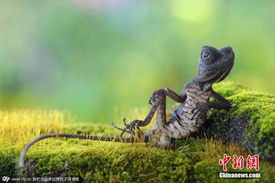 �Y�ψD��������