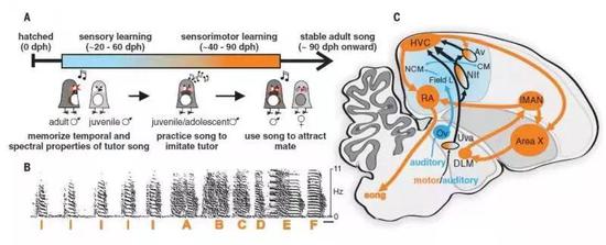 ���ز�ȸ�W(xu��)��(x��)�������(j��ng)Ԫ�·�D �� A �����ȸ�W(xu��)��(x��)����ĕr(sh��)�g����B �����ȸ������l���V�D��C  (t��ng)�X(ju��)���{(l��n)ɫ������(j��ng)Ԫ�·����ɫ��ʾ��D��
