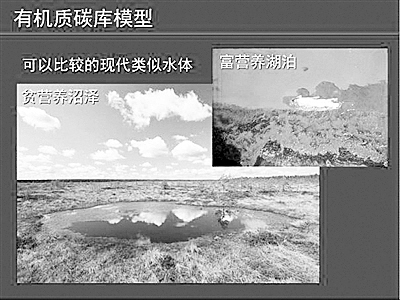 ����ƌW(xu��)���������ģ������(du��)5�|��ǰ�������������o�����µĽ����