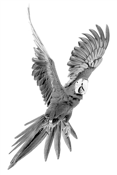 ����������ݻ����B����ƌW(xu��)�҂�߀�ڌ������