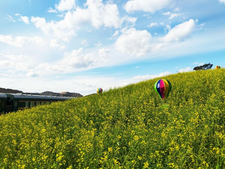 �ӱ��w�����U���Vɽ��׃�����Gˮ��ɽ_fororder_4